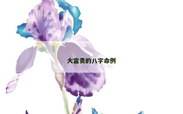 大富貴的八字命例