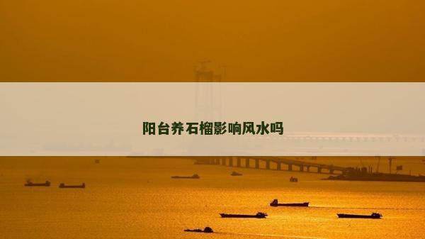 陽臺養石榴影響風水嗎