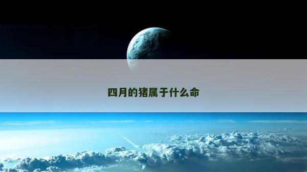 四月的豬屬于什么命