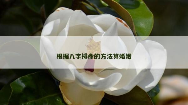 根據(jù)八字排命的方法算婚姻