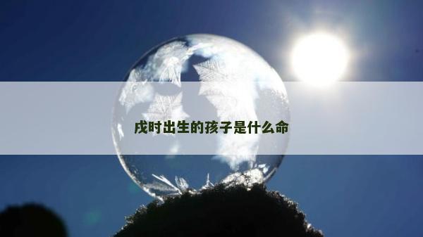戌時出生的孩子是什么命
