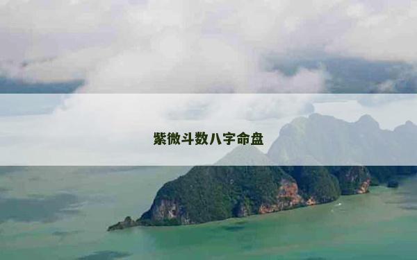 紫微斗數八字命盤 紫微斗數八字命盤