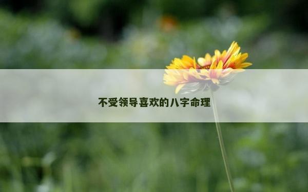 不受領導喜歡的八字命理