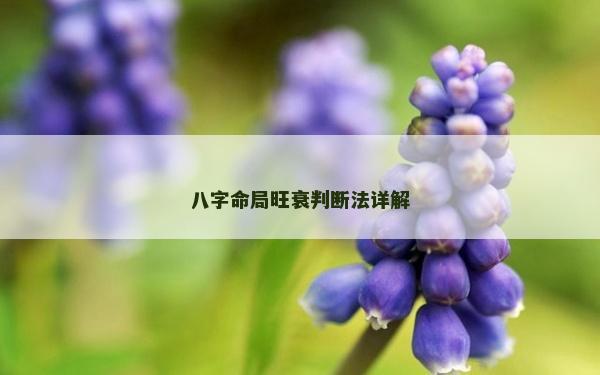 八字命局旺衰判斷法詳解