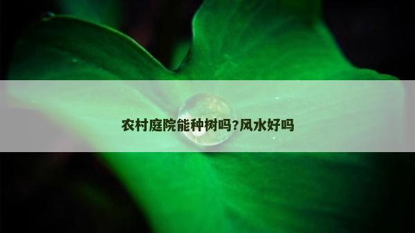 農村庭院能種樹嗎?風水好嗎 農村庭院能種樹嗎?風水好嗎