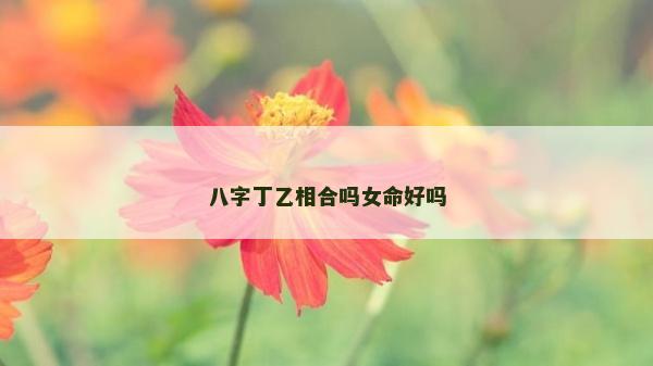 八字丁乙相合嗎女命好嗎