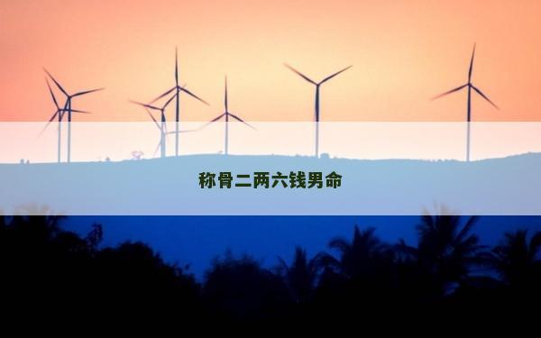 稱骨二兩六錢男命