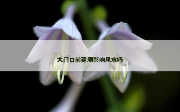 大門口前建廁影響風水嗎