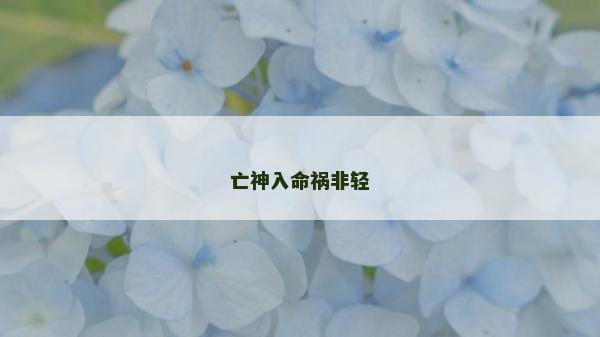 亡神入命禍非輕