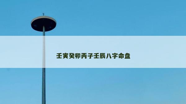 壬寅癸卯丙子壬辰八字命盤