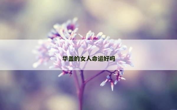 華蓋的女人命運好嗎