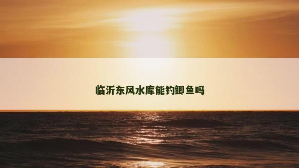 臨沂東風水庫能釣鯽魚嗎