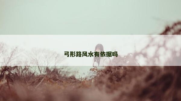 弓形路風水有依據嗎 弓形路風水有依據嗎