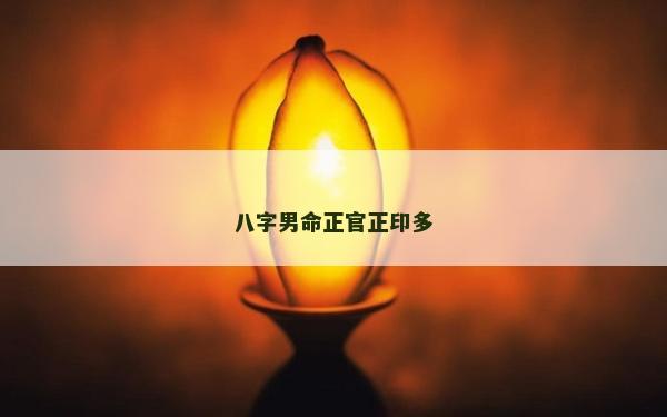 八字男命正官正印多