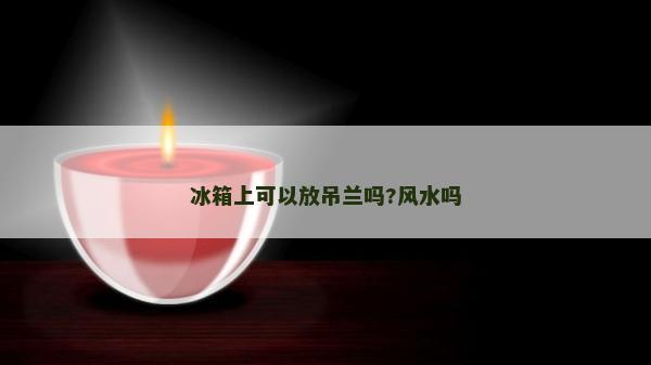 冰箱上可以放吊蘭嗎?風水嗎