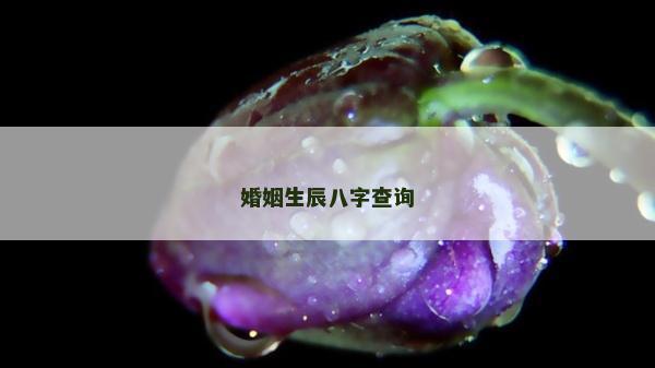 婚姻生辰八字查詢
