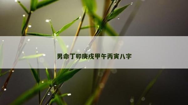 男命丁卯庚戌甲午丙寅八字 男命丁卯庚戌甲午丙寅八字