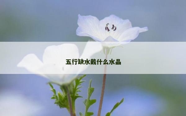 五行缺水戴什么水晶