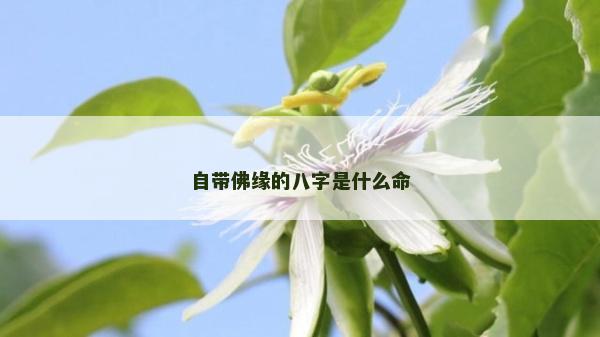 自帶佛緣的八字是什么命