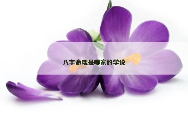 八字命理是哪家的學說