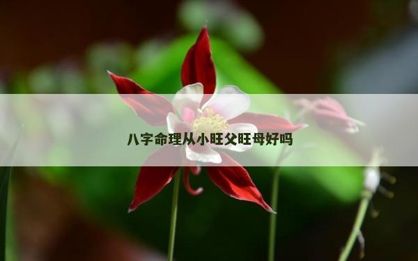 八字命理從小旺父旺母好嗎
