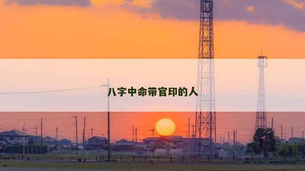 八字中命帶官印的人