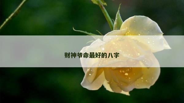 財神爺命最好的八字