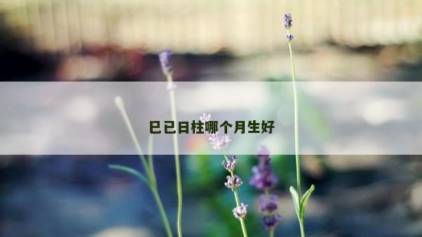 巳已日柱哪個月生好