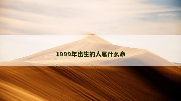 1999年出生的人屬什么命