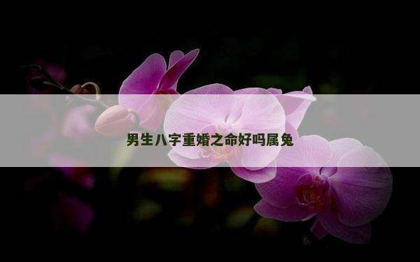 男生八字重婚之命好嗎屬兔