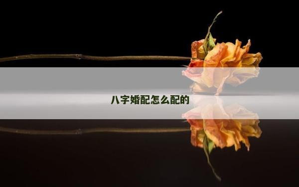 八字婚配怎么配的