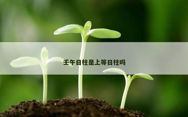 壬午日柱是上等日柱嗎