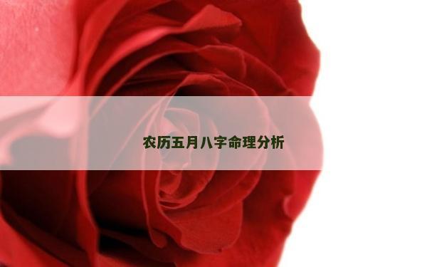 農歷五月八字命理分析