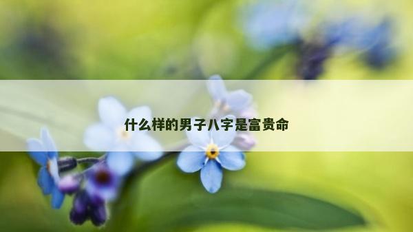 什么樣的男子八字是富貴命