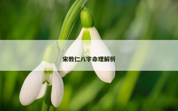 宋教仁八字命理解析 宋教仁八字命理解析