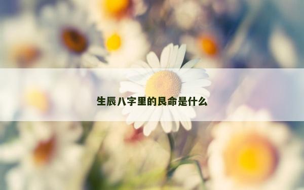 生辰八字里的艮命是什么