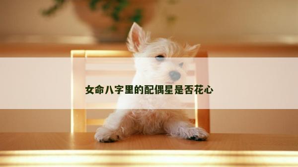 女命八字里的配偶星是否花心