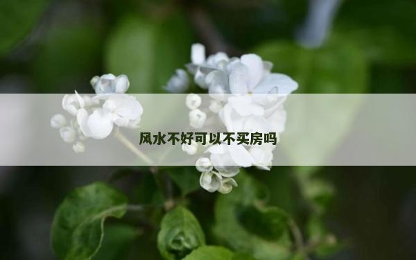 風水不好可以不買房嗎