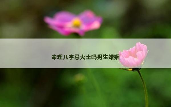 命理八字忌火土嗎男生婚姻