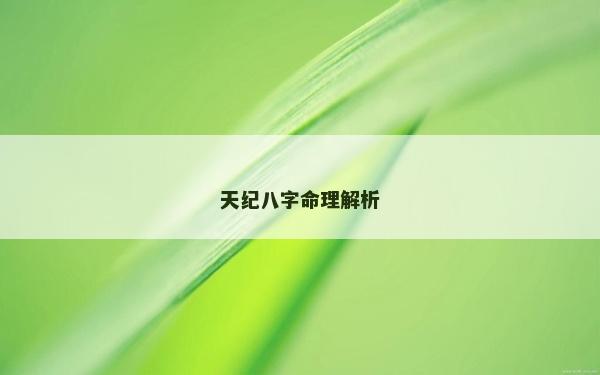 天紀八字命理解析 天紀八字命理解析