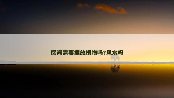 房間需要擺放植物嗎?風水嗎