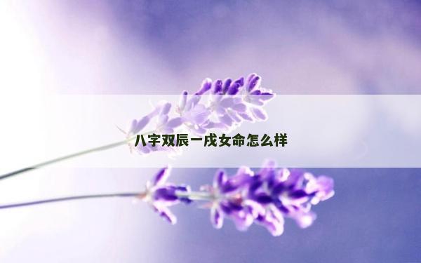 八字雙辰一戌女命怎么樣