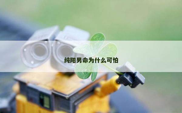 純陽男命為什么可怕