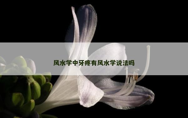 風水學中牙疼有風水學說法嗎