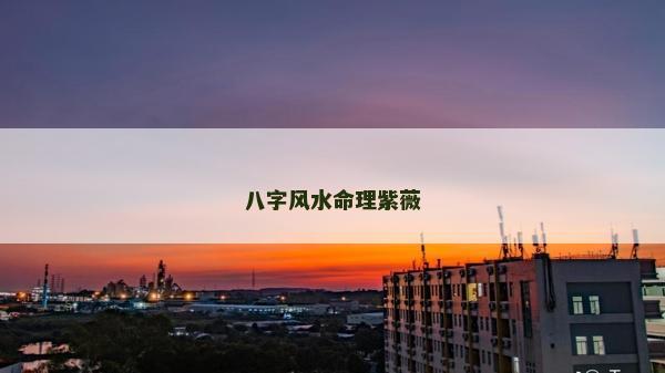 八字風水命理紫薇