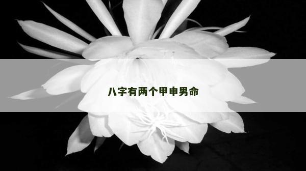 八字有兩個甲申男命 八字有兩個甲申男命