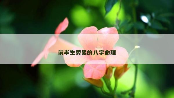 前半生勞累的八字命理