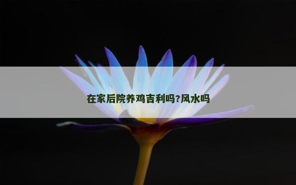 在家后院養雞吉利嗎?風水嗎