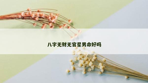 八字無財無官星男命好嗎