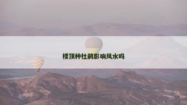樓頂種杜鵑影響風水嗎